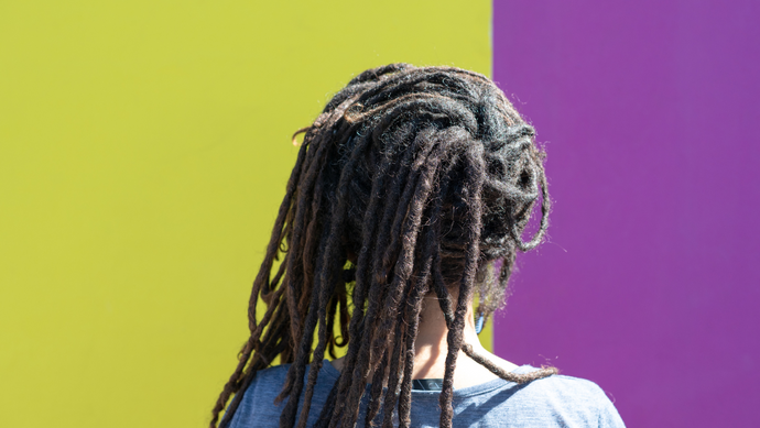 Harmonizing Color and Moisture for Stunning Locs